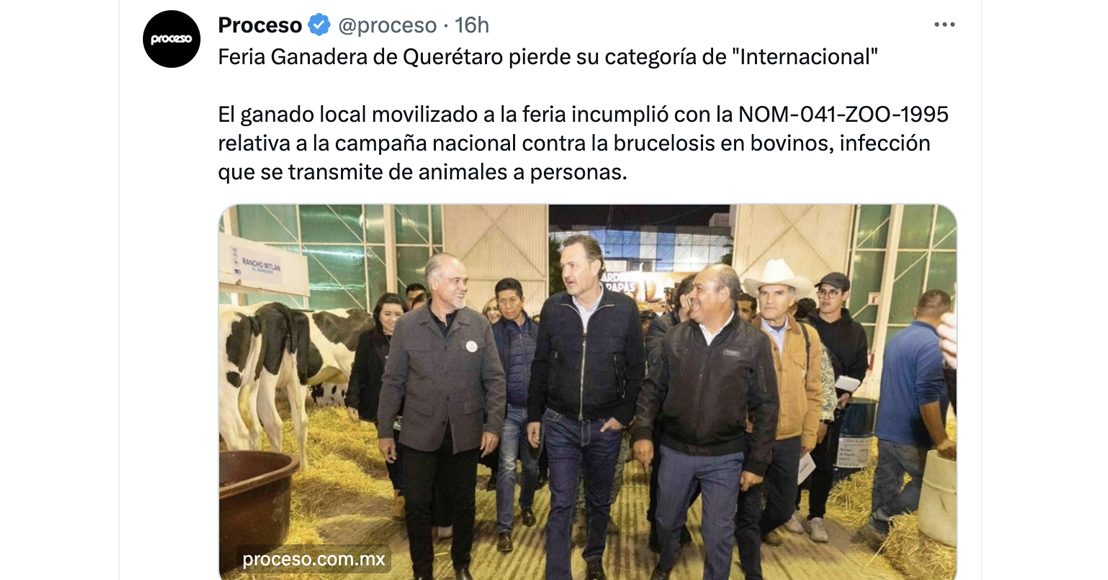 Revelan que ganado de la feria de Querétaro incumple con normas sanitarias