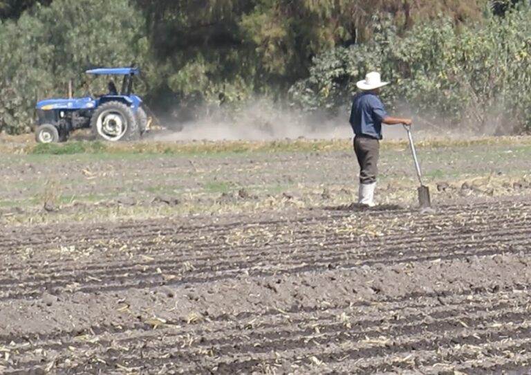 Un terreno agrícola en San Juan del Río, Querétaro.