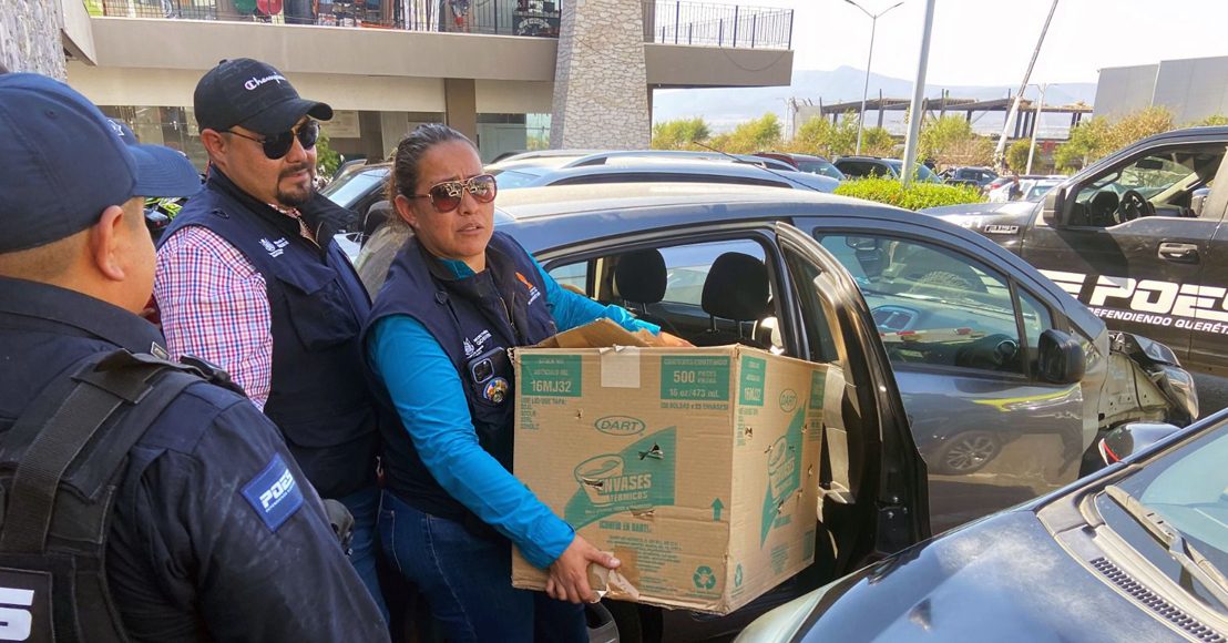 Informan de la presunta venta de un mono araña en Querétaro