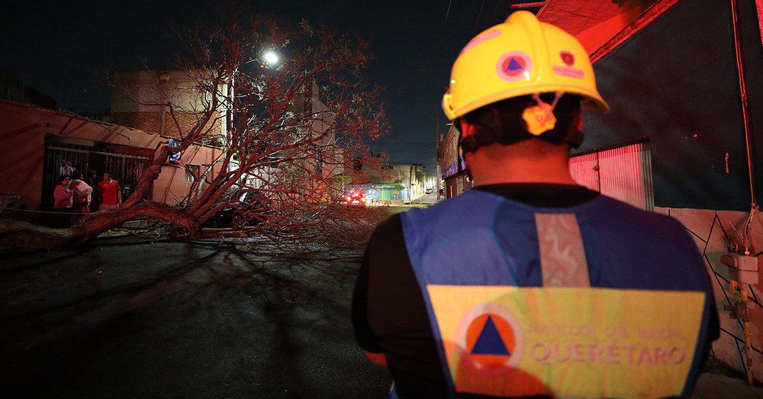 Árboles caídos tras lluvia en Querétaro