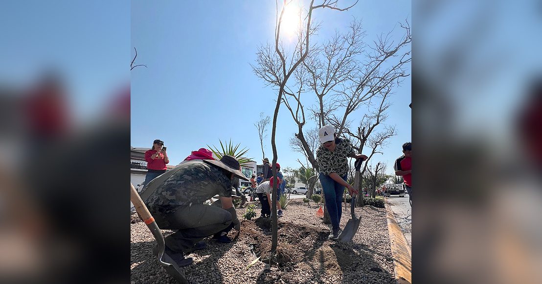 Menos concreto y más árboles; luchan contra islas de calor en Querétaro