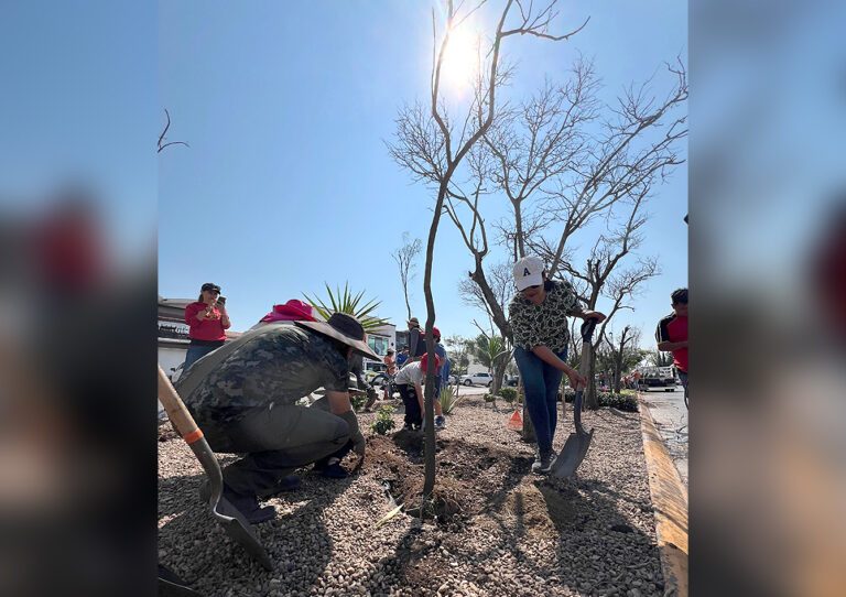 Reforestación en Querétaro