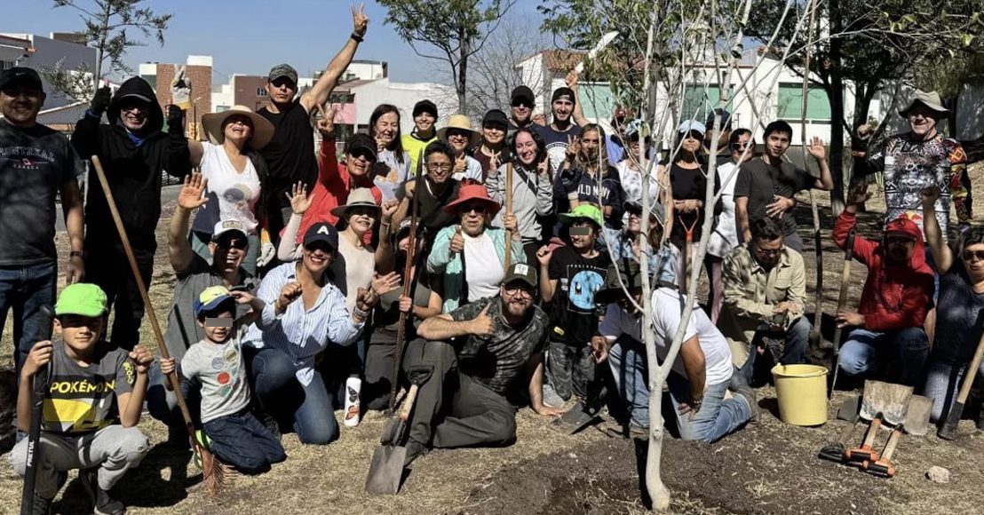 Ciudadanos participan en jornada de reforestación en Querétaro.