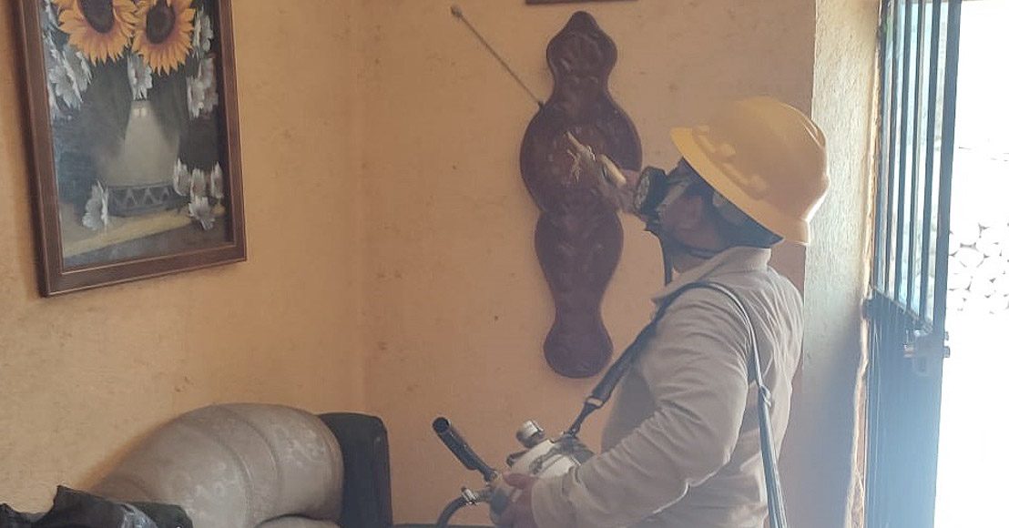 Crecen 84.8 casos de dengue en Querétaro, durante 2 semanas