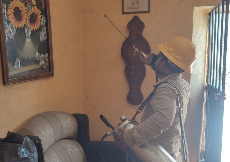 Dengue en Querétaro