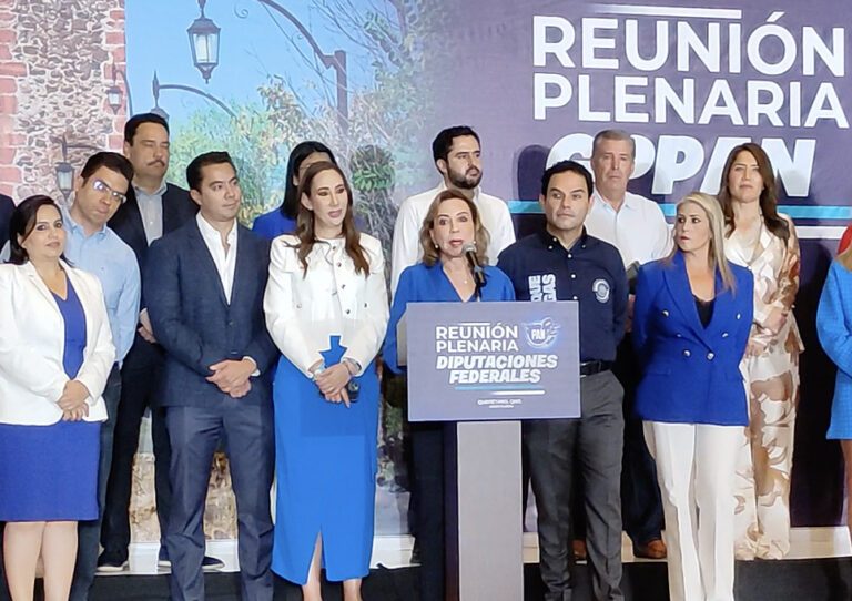 Guadalupe Murguía Gutiérrez, coordinadora del PAN en el Senado.