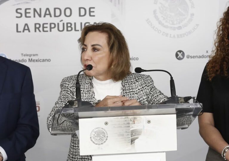 PAN Senado Guadalupe Murguía