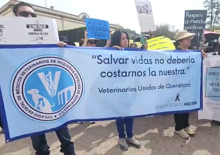 Querétaro Marcha de veterinarios