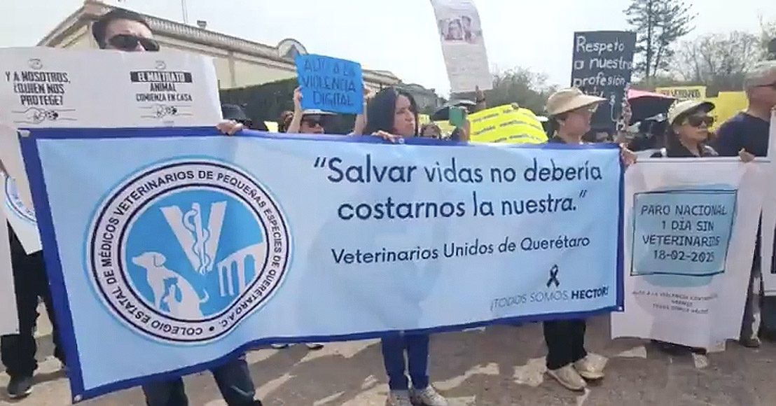 Se suman veterinarios de Querétaro a protesta y paro nacional