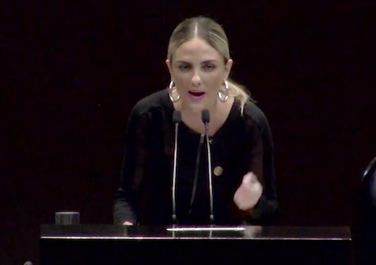 Tania Palacios Kuri en la Cámara de Diputados