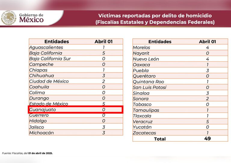 Guanajuato Seguridad.