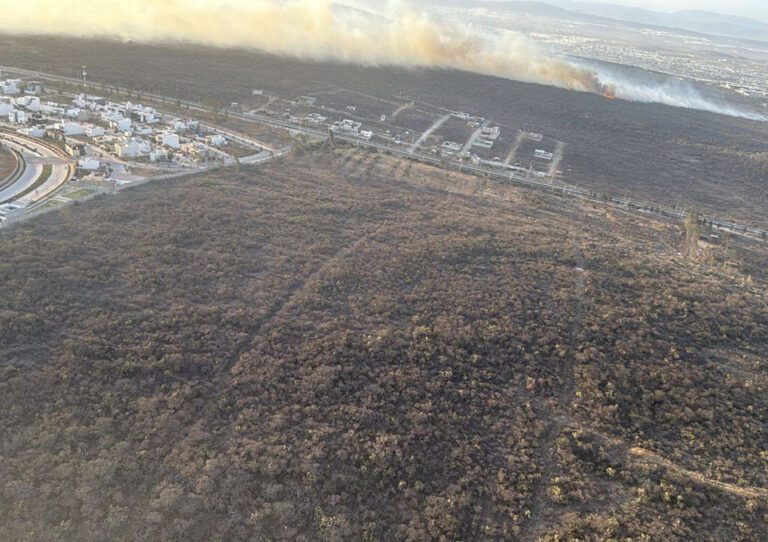 Querétaro: Incendio de hectáreas de bosque
