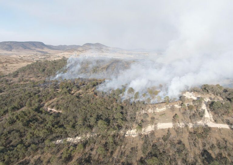 Querétaro: Incendio en Amealco