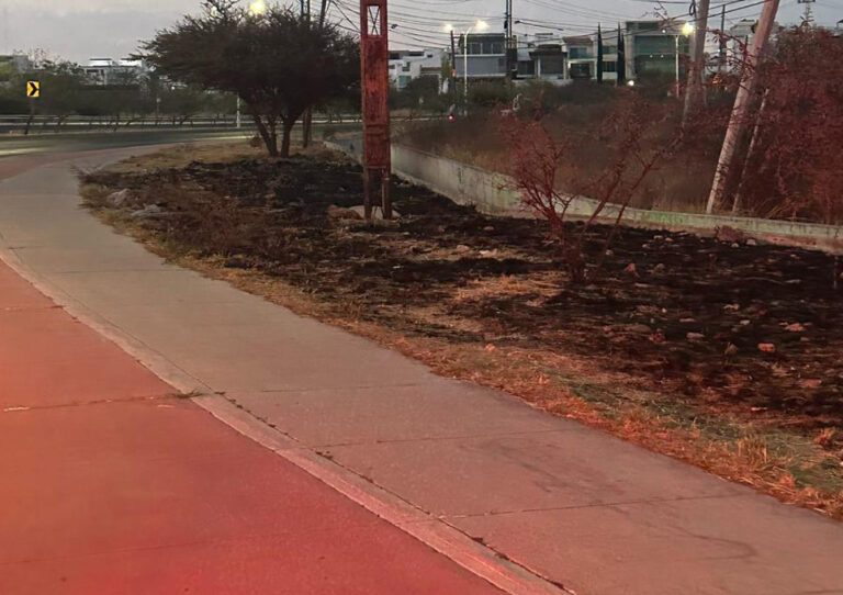 Querétaro: Incendio en El Cimatario