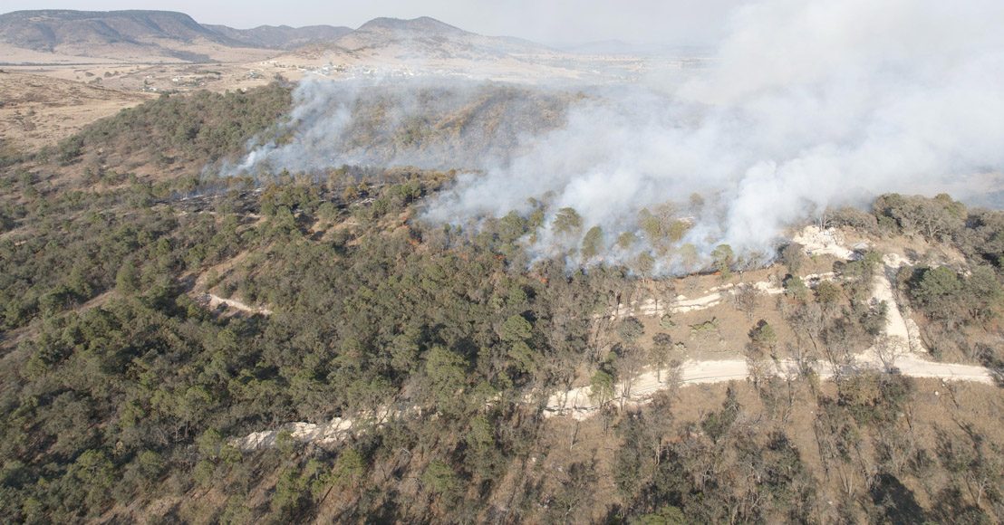 Querétaro: Piden apoyo al gobierno federal para sofocar incendio en Amealco
