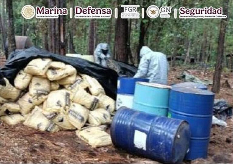 México: Aseguran laboratorios clandestinos en Michoacán