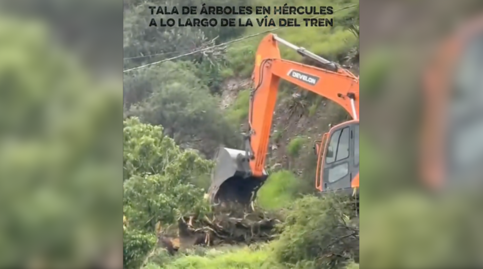 Querétaro: Aquí por las vías del tren ya empezaron a quitar árboles