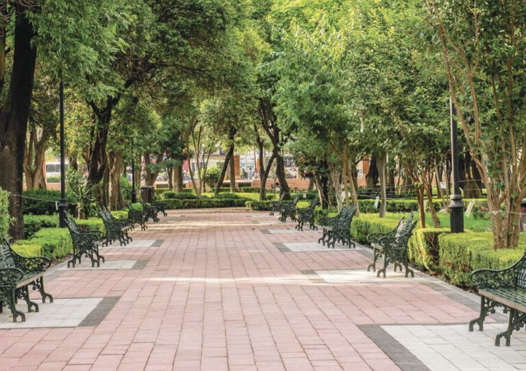 Cámaras al interior de la alameda "Hidalgo" Querétaro
