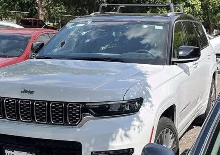 La camioneta en la que viajaba la nieta de Rocha Moya