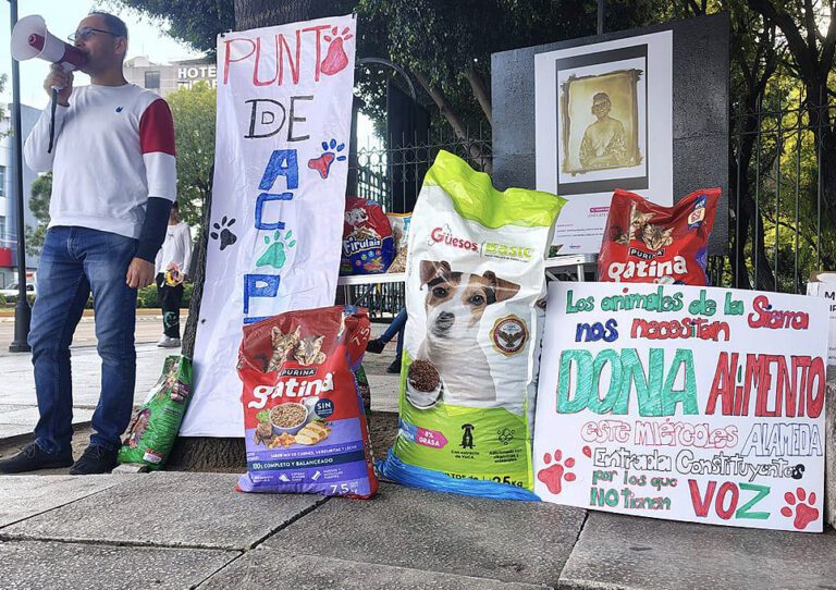 Acopio de alimento para animales de las zonas afectadas por las lluvias en Querétaro