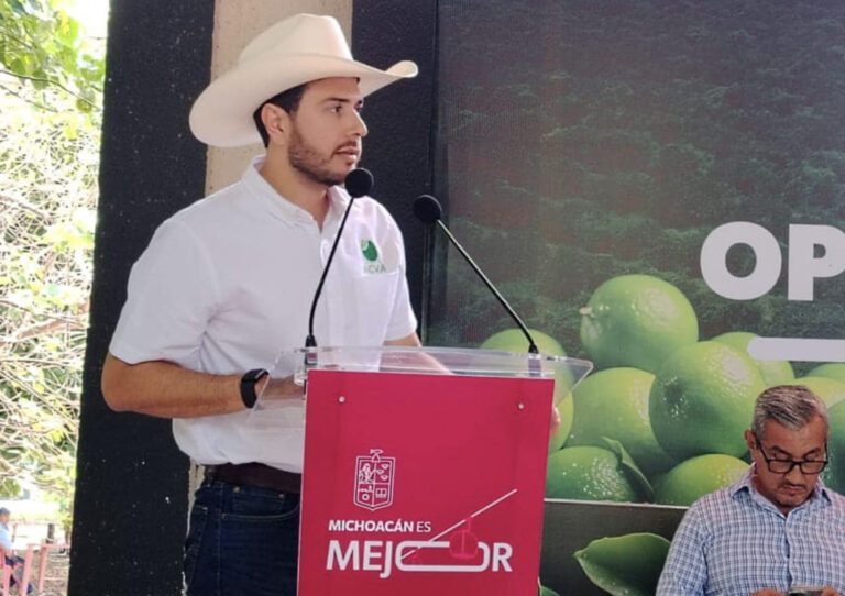 Bernardo Bravo Manríquez Apatzingán Michoacán