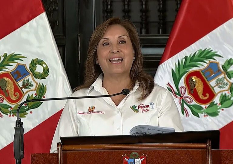 Dina Ercilia Boluarte Zegarra