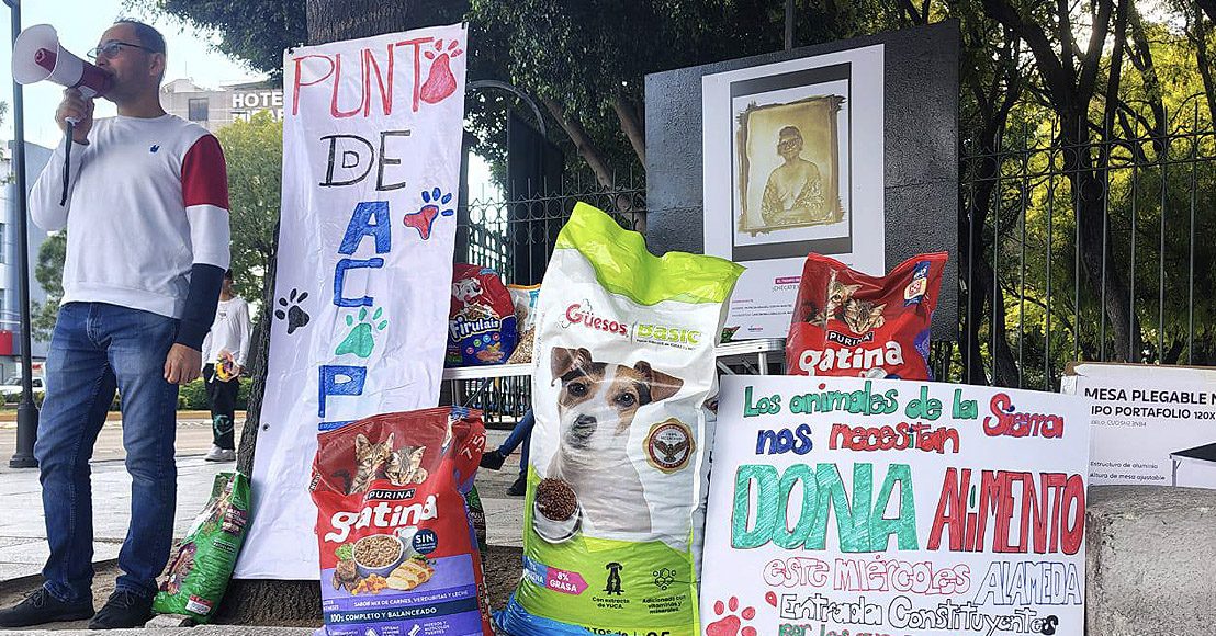 Échennos los kilos, convocan a donar alimento para animales de la sierra de Querétaro