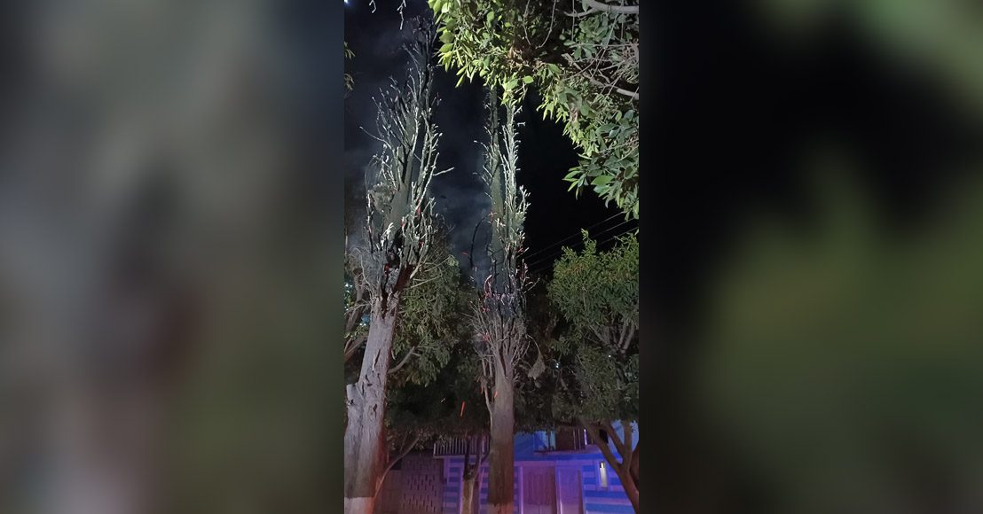 Árboles incendiados en Pedro Escobedo, Querétaro