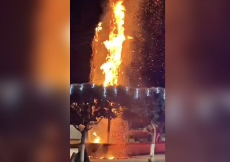 Querétaro: Graban incendio de árboles