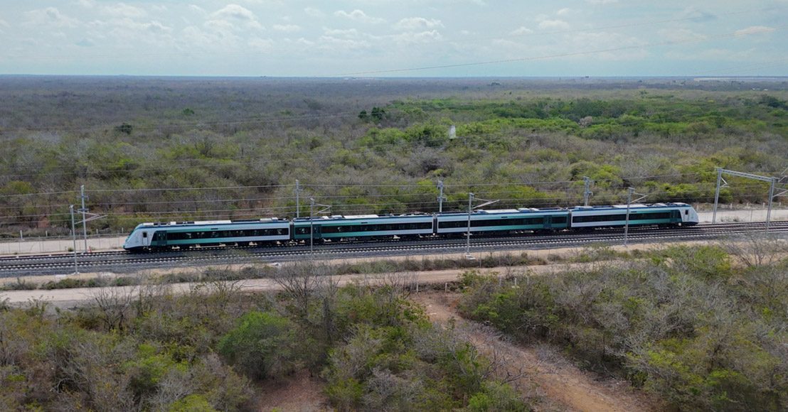 México: Reportan que Semarnat oculta información de daños causados por la construcción del Tren Maya