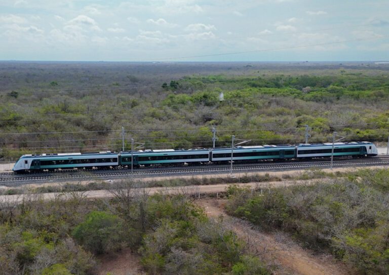 El Tren Maya y el impacto al medio ambiente