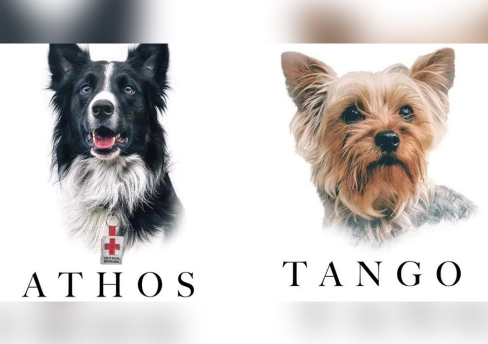 Los perros rescatistas Athos y Tango