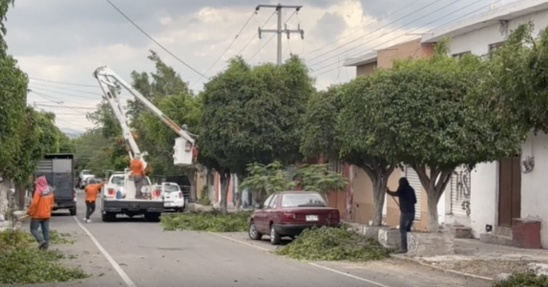 Querétaro: Podan árboles en Lomas de Casa Blanca, donde ha habido apagones