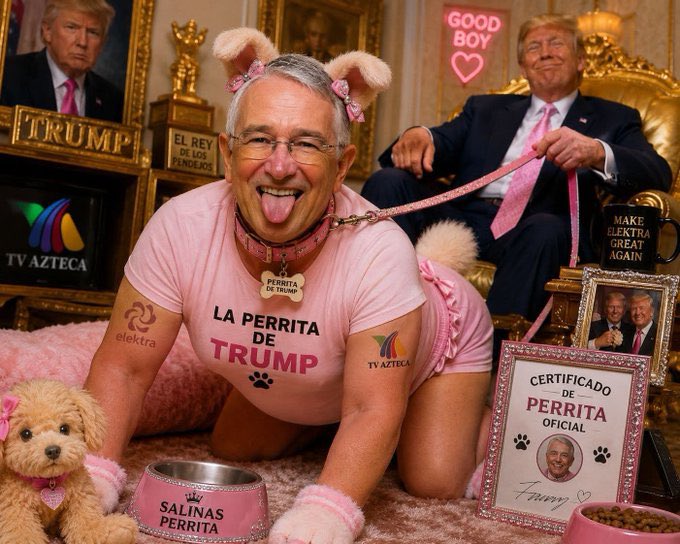 Meme de Salinas Pliego Trump
