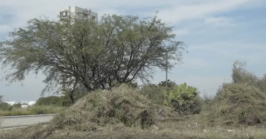 Querétaro: El patrimonio municipal no pertenece al gobierno, revocan subasta de predios