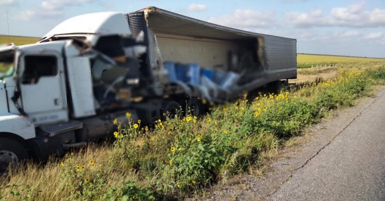 Accidente de tráiler exhibe un cargamento de Querétaro con perros y gatos muertos