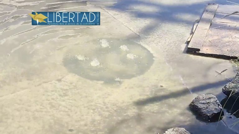 Así lució, este día, un tramo de la lateral de 5 de Febrero, pese a no haber llovido