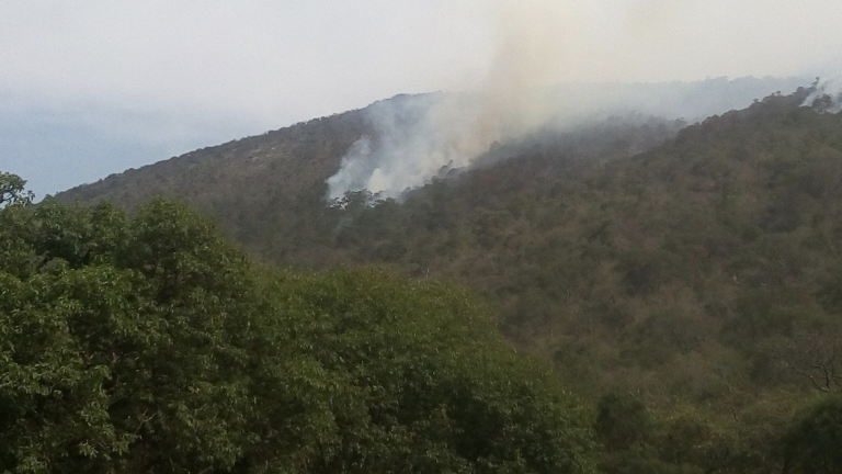 Derecho a Saber: Sobre el incendio en la Sierra Gorda de Querétaro