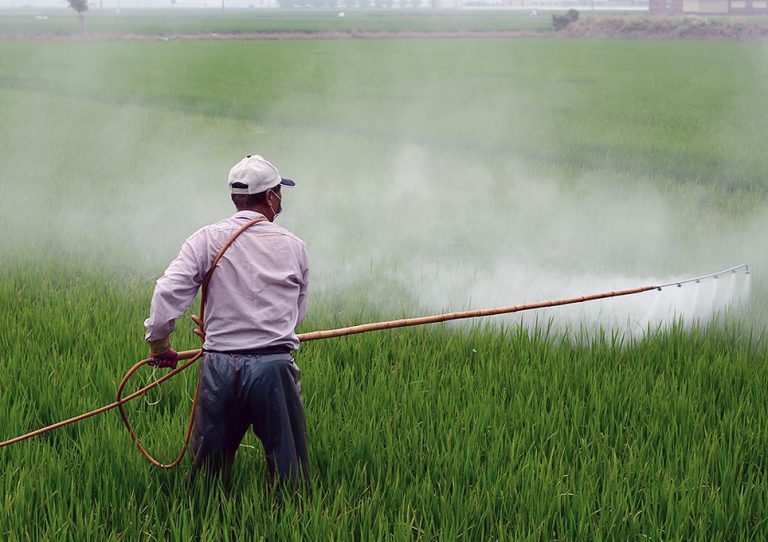 Continúa el uso de glifosato de Monsanto en México, por fallo de un juez