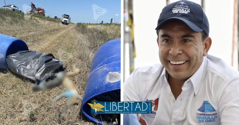 Corregidora otorgó convenio con Aquanimals para el “acopio de felinos”