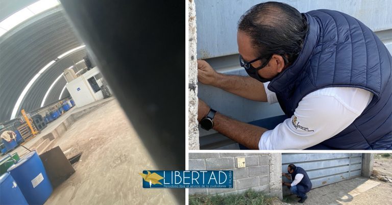 Investigan a “Aquanimals”, vinculada a cargamento de perros y gatos muertos