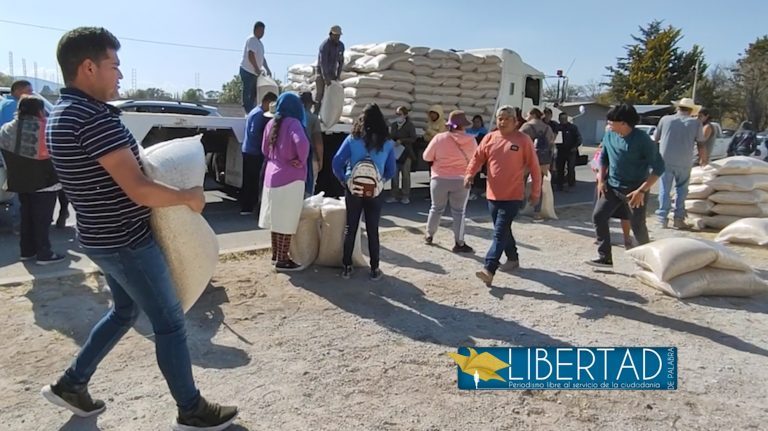 Les dan maíz para que vayan a un acto político de Claudia Sheinbaum en Querétaro