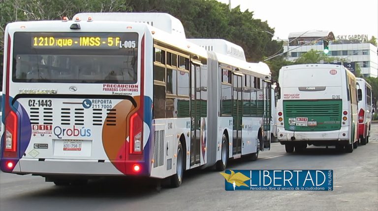 orugas en queretaro
