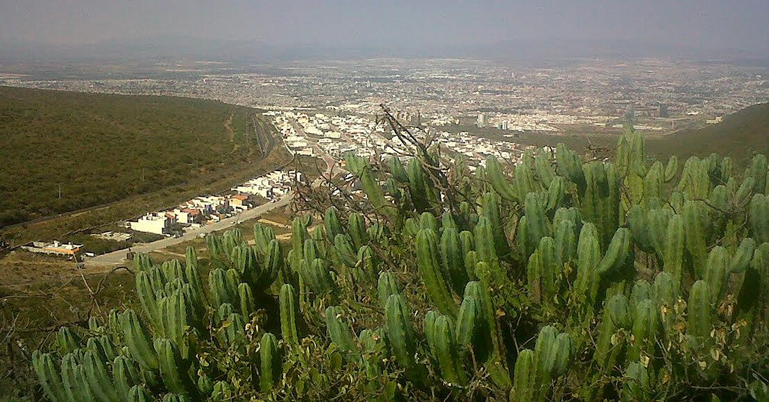 Observan desinterés para proteger el área ecológica de El Tángano, Querétaro