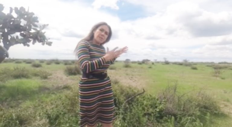 Regidora señala que favorecieron a empresa en Corregidora