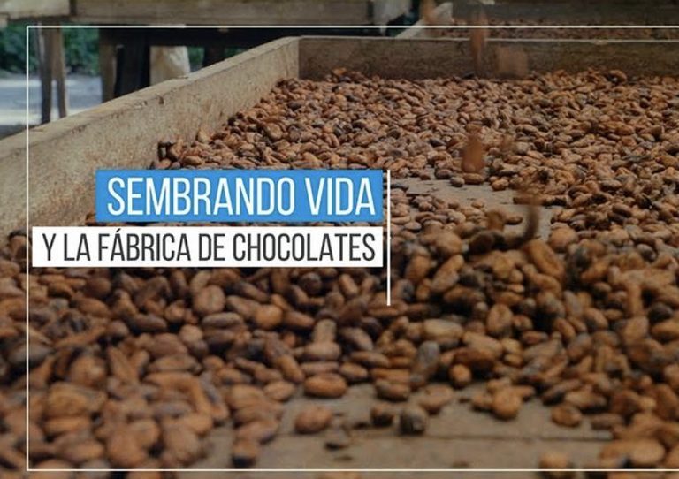 Sembrando Vida y la Fábrica de Chocolates