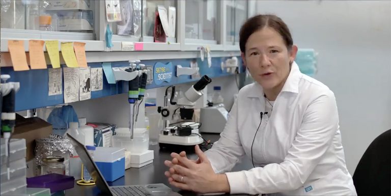 Detectaron 271 portadores del coronavirus, académicos de la UAQ