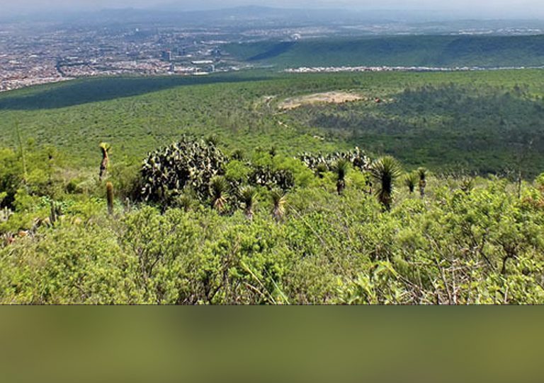 Aclara Gobierno Estatal que El Cimatario no se tocará
