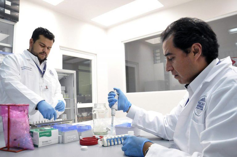 100 % del personal anticorrupción, sometido a evaluación toxicológica: Fiscal Vargas