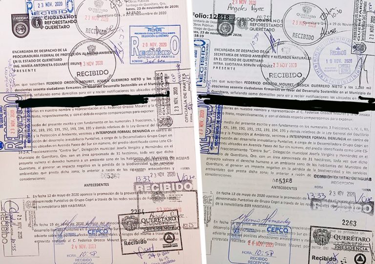 Denuncian ante Semarnat y Profepa la construcción de “Punto Olivo”, en Querétaro